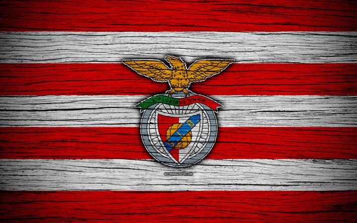 Sport Lisboa e Benfica: Descubra 30 curiosidades sobre o clube Português