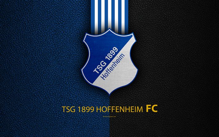 Hoffenheim x Schalke 04 AO VIVO onde assistir – Campeonato Alemão