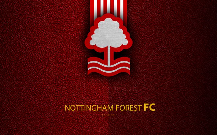 Como assistir Nottingham Forest x Burnley AO VIVO – Campeonato Inglês