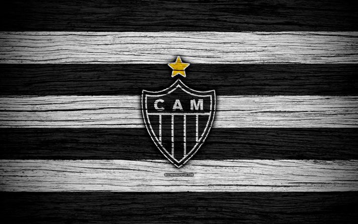 Atlético Mineiro x Fluminense AO VIVO onde assistir – Campeonato Brasileiro